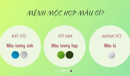  Mệnh Mộc hợp màu gì nhất, dùng màu sắc như thế nào để luôn gặp may mắn?
